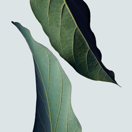 Botanical Repair™ strengthening  Leave-in Treatment - Travel Size