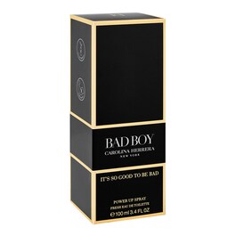 Bad Boy - Power Up Spray