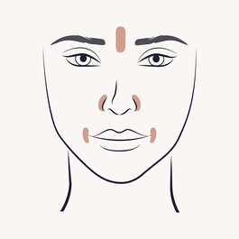 103 Detail Foundation - Face brush
