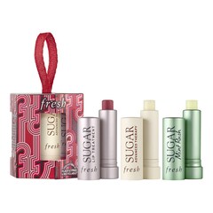 Tint & Treat Lip Care Set, FRESH