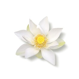 The Ritual Of Karma - Mini Fragrance Sticks