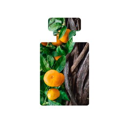 Vanilla Pod - Hydrating Day Cream