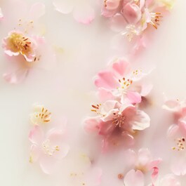 The Ritual of Sakura - Mist til krop og hår