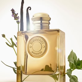 BURBERRY Goddess Intense - Eau de parfum refill