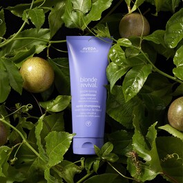 Blonde Revival - Mini Purple Toning Conditioner