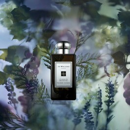 Cypress & Grapevine - Cologne Intense
