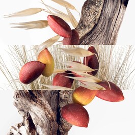 Un Jardin à Cythère - Eau de Toilette Refill