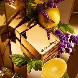 The One Pour Homme Gold - Eau de Parfum Intense