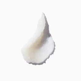 Scrub Energisant - Purifying Scrub