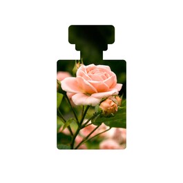 Baptise - H20 Ultra-Hydrating Water Gel