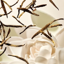 The Ritual of Karma - Car Fragrance Refill