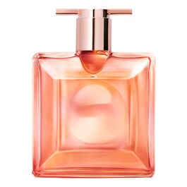 Idôle Nectar - Eau de Parfum image