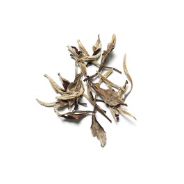 The Ritual Of Karma - Mini Fragrance Sticks