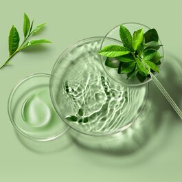Farm To Face - Green Tea Sheet Mask