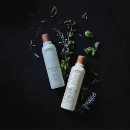 Rosemary Mint - Shampoo