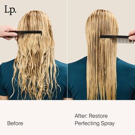 Restore - Perfecting Spray