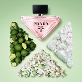 The product image is missing!