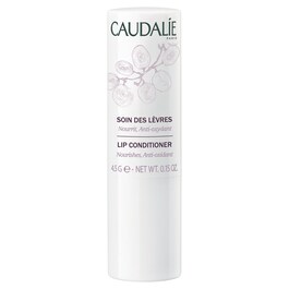 Lip Conditioner