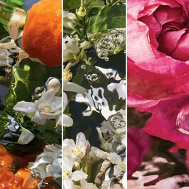 Aqua Allegoria Forte - Rosa Palissandro Eau de Parfum