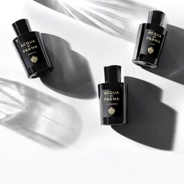 Oud & Spice - Eau de Parfum