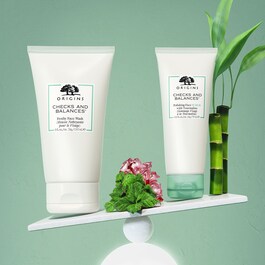 Checks and Balances™ - Frothy Face Wash