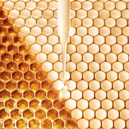 Abeille Royale - Fortifying Lotion
