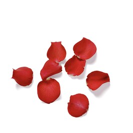 The Ritual of Ayurveda - Refill fragrance sticks