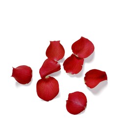 The Ritual of Ayurveda - Fragrance Sticks