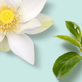 The Ritual of Karma - Home fragrance