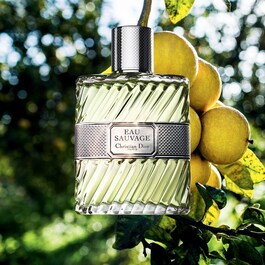 Eau Sauvage - Eau de Toilette til mænd - Friske og solrige noter