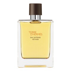 Terre d'Hermès Eau Intense Vétiver - Eau de Parfum, HERMÈS
