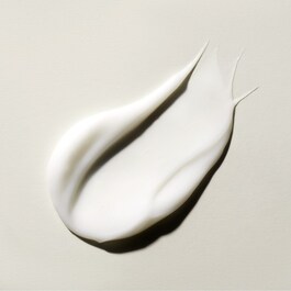 The Ritual of Ayurveda - Conditioner