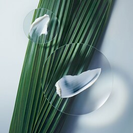 Botanical Repair - Rich Mask