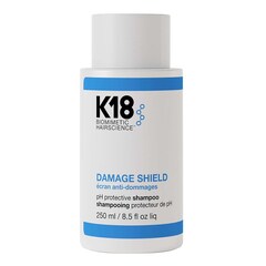 DAMAGE SHIELD pH Protective Shampoo, K18