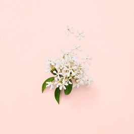 Gucci Bloom - Eau de Parfum