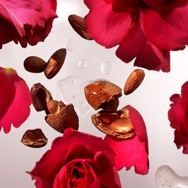 The Ritual of Ayurveda - Body Scrub