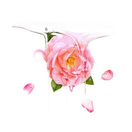 UFO Mask - Bulgarian Rose