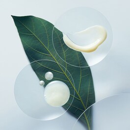 Botanical Repair - Shampoo