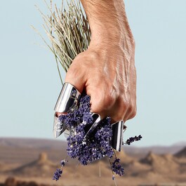 K By Dolce & Gabbana - Eau de Toilette