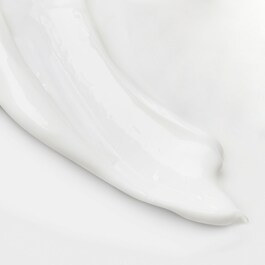 The Body Lotion