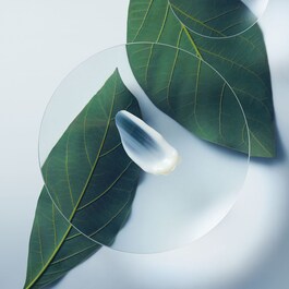 Botanical Repair - Conditioner
