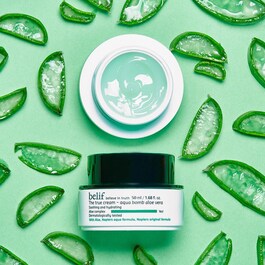 The True Cream Aqua Bomb Aloe Vera