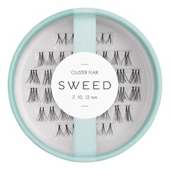 Cluster Flair, SWEED