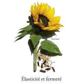 Extra-Firming Neck & Décolleté