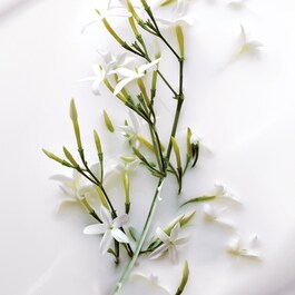 J'adore Lait Sublime - Body Milk