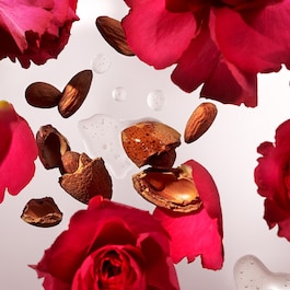The Ritual of Ayurveda - Refill Hand Wash