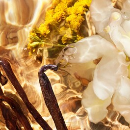 Aqua Allegoria Forte - Bosca Vanilla Eau de Parfum