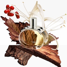 Barénia - Eau de Parfum