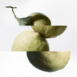 Eau de Basilic Pourpre Natural Spray 