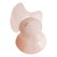 Quartz Rose